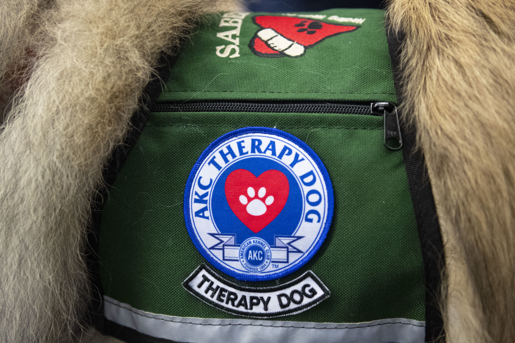 Airport dogs, 1.18